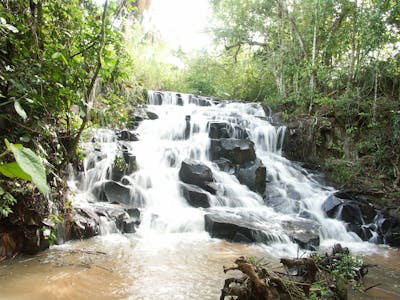 Employment law services